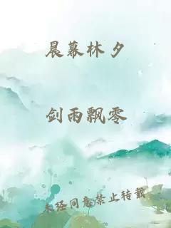 晨幕林夕